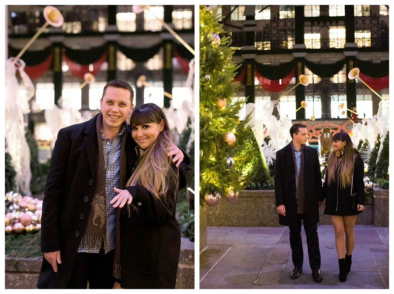 Holiday proposal in NYC