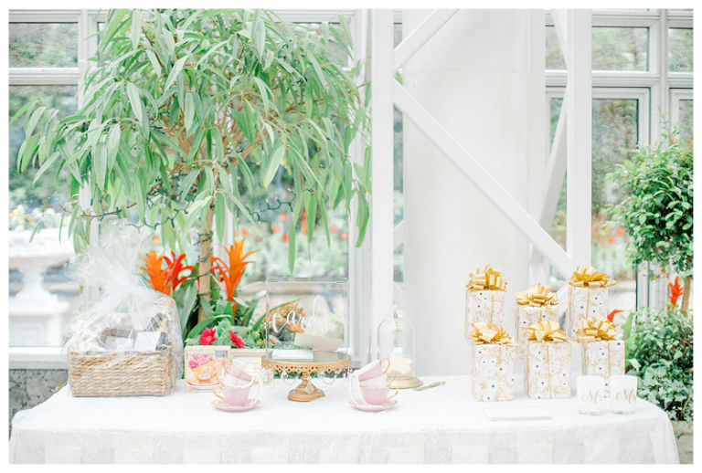 Madison Hotel Bridal Shower Luiza's Garden Tea Party